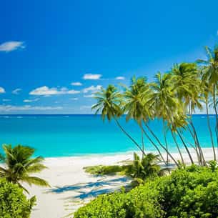 barbados